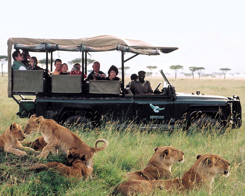 Löwen im Central Kalahari Game Reserve Pirschfahrt mit Löwenfamilie - Botswana