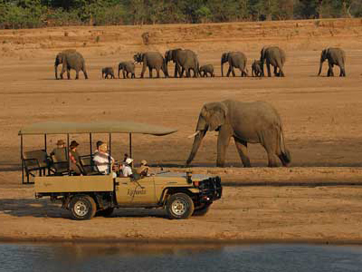 Im offenen Safari-Jeep während einer Sambia-Reise Elefanten beobachten im offen Jeep der Kafunta River Lodge