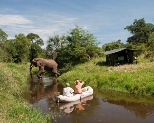 Elefanten hautnah – Simbabwe-Safaris Fluss-Safaris mit Elefanten - Simbabwe